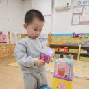 하버드 유치원