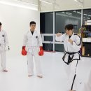 경향태권도 이미지