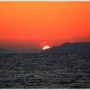 토요시네마 12월 이미지