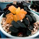 문겸농장 이미지