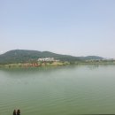 낙동강변로4-4 이미지