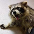 해동병원 | [리뷰/맛도리]포항 중식 해동반점 중국집 오픈런 한 후기