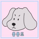 꼬똥몽드 이미지