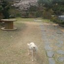 내고향 오리김치찌개 전문점 이미지