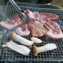 더비비스제주(The BB's JEJU) | 제주도 1박 2일, 전망 좋은 제주 서귀포 펜션 추천 더비비스 리조트에서 흑돼지