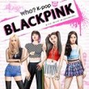 도전 K-POP 스타 이미지