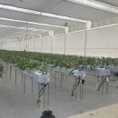 금산농장 2 이미지