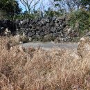 수산1리 마을회관 이미지