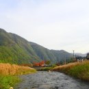 신기치안센터 이미지