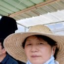 상림컨설팅