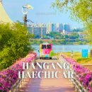 강변시민공원 공도교 벤치 옆 | 무료 셔틀 요금 시간 코스 및 강아지와 반포한강공원 산책 시 유의점 목줄 입마개 서울 가볼만한곳...