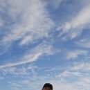 온 휴가 민박 이미지