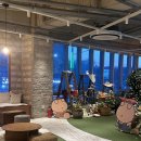 자영농장 | 구읍뱃터카페 바다앞농장 다녀온 찐 후기