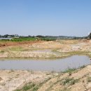 신상천 인공습지 이미지