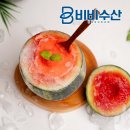 해동피혁