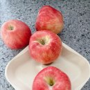 A팜 | 쿠팡 로켓프레시와 함께한 셀렉트팜A 고당도 사과 후기🍎