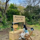 세화비에스 | 봄 제주 여행기 3일차. 내 사랑을 받아줘 누피야