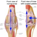 진천동물병원 이미지