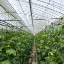 선기농장 이미지