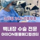 용인24시 아이온동물메디컬센터 티스토리