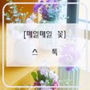 매일;꽃 - 유성구 노은동로87번길 47-6 | 매일;꽃