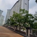 범어쌍용예가 네이버블로그