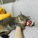 딜라이트 서울