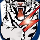 용인대쌍용태권도 이미지