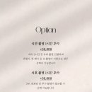 아뜰리에마이플래너 | [아이폰스냅] 가성비 아이폰스냅 비마이아뜰리에 계약 후기 (짝궁할인가능)