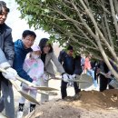 희망나무심기5 이미지