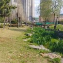 아주체육공원 이미지