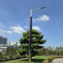 태양충전소 이미지