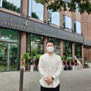 코스모스악기주 이미지