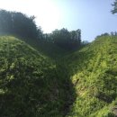 홍천국유림관리소 이미지