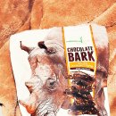 부용ENG | 교환학생 일지3 (University of South Carolina)