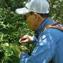 소천면사무소 이미지