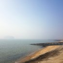 홍원항 포장마차 | 서천 홍원항 낚시여행 (부제 : 추위&해무... 아직)
