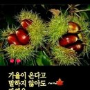 인사말 이미지 9.22(일요일) 이미지