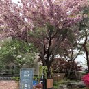 용정2길 22, (용산동) | 충주 용산동 맛집,구옥 한우 점심 내돈내산