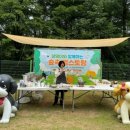 놀러와 놀이터 이미지