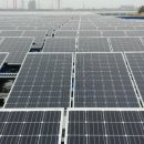 지연태양광발전소 이미지