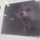 애견마트 이미지