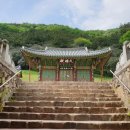 들꽃물꽃 | [불회사] 나주 덕룡산 국가산림문화자산, 비자림, 동백숲