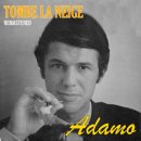 Tombe La Neige - Salvatore Adamo 이미지