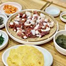 옥동돌문어 이미지