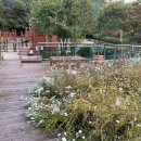 중랑캠핑숲 이미지