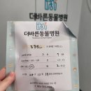 더바른동물병원 앞 이미지