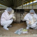 이창우농장 이미지