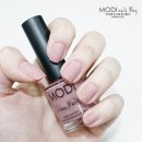 로즈비치 이미지