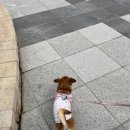 유니크 | 홍대 여자 옷가게 추천 가성비좋은 커먼유니크 후기